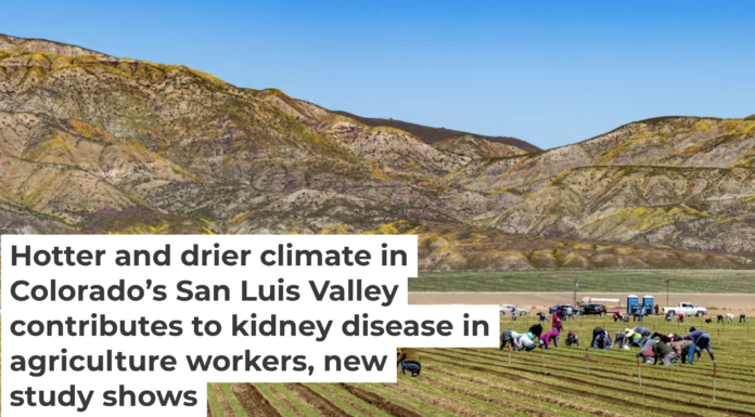 Agricultural workers exposed to a hotter and drier climate are at an increased risk of kidney damage. George Rose/via Getty Images